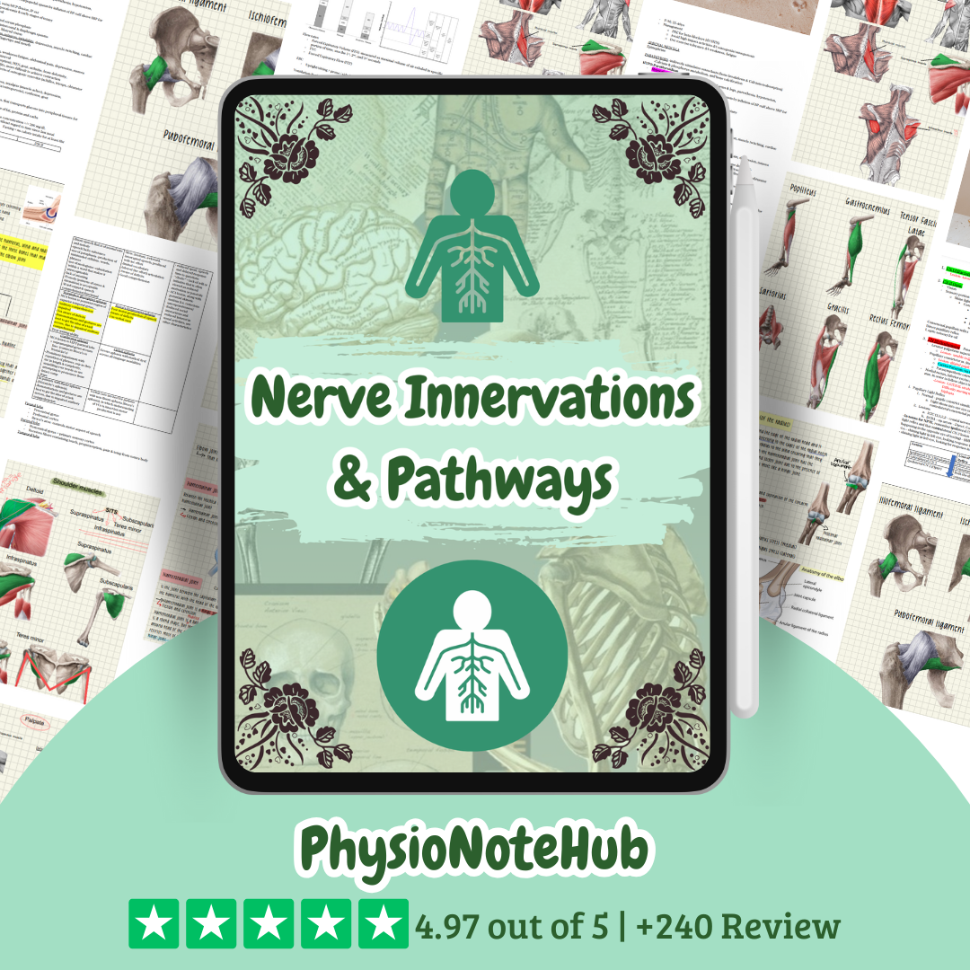 The Complete Physio Therapy Study Bundle - 2025 Edition