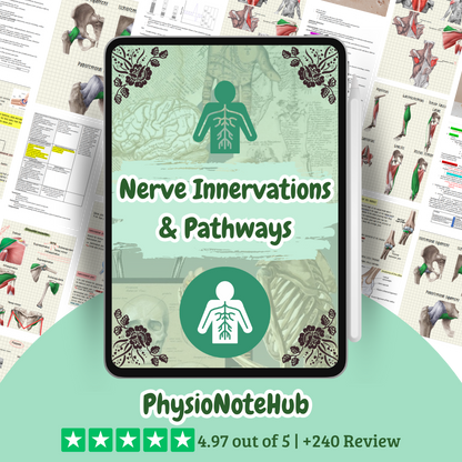 The Complete Physio Therapy Study Bundle - 2025 Edition