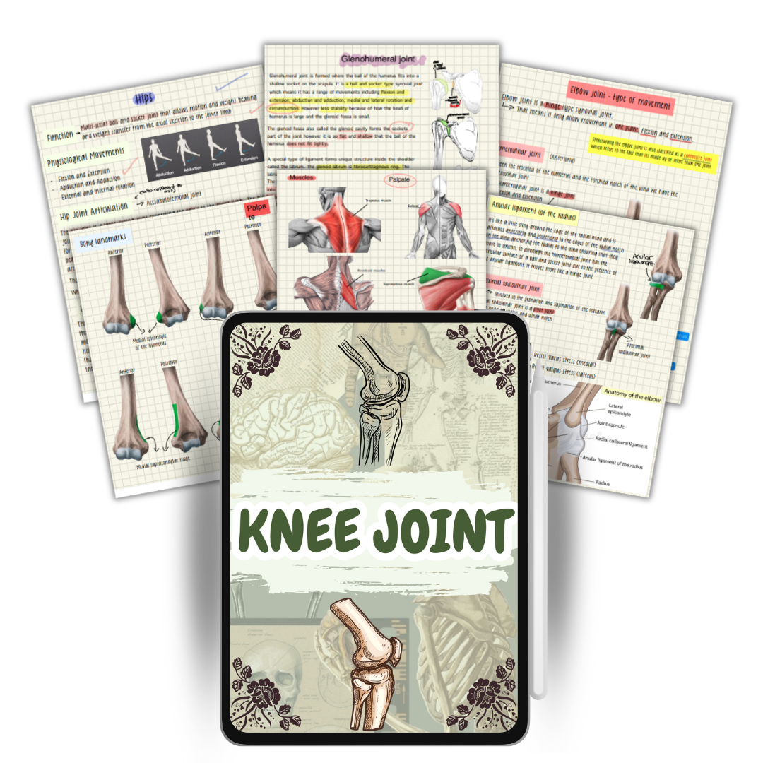 The Complete Physio Therapy Study Bundle - 2025 Edition