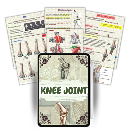 The Complete Physio Therapy Study Bundle - 2025 Edition