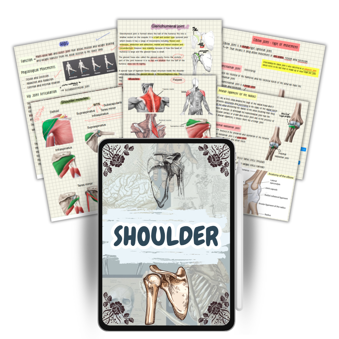 The Complete Physio Therapy Study Bundle - 2025 Edition