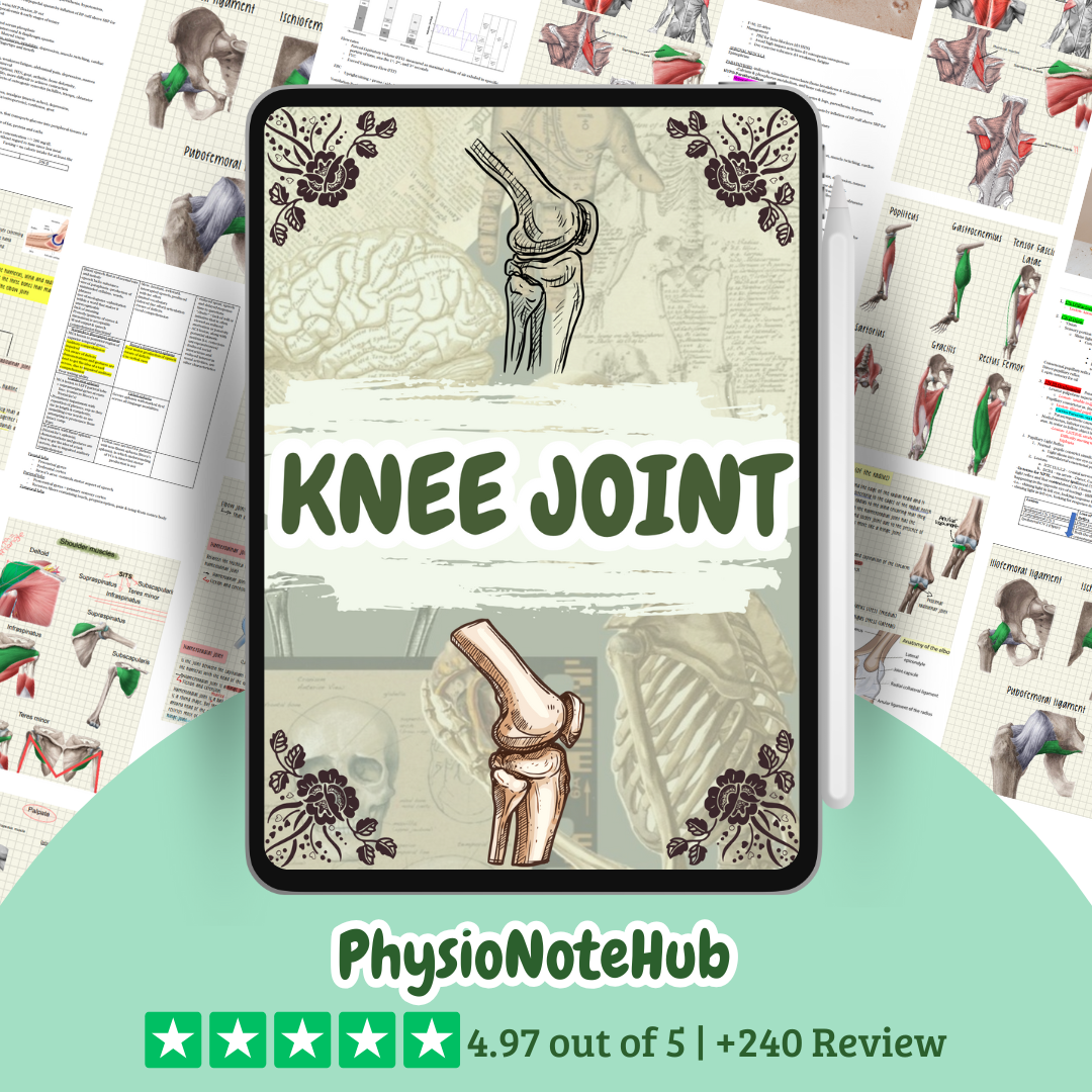 Knee Joint