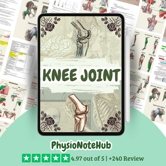 Knee Joint